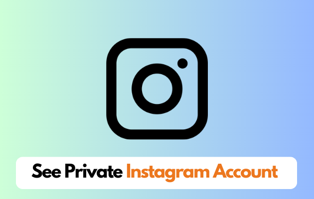 Can you See Private Instagram Account