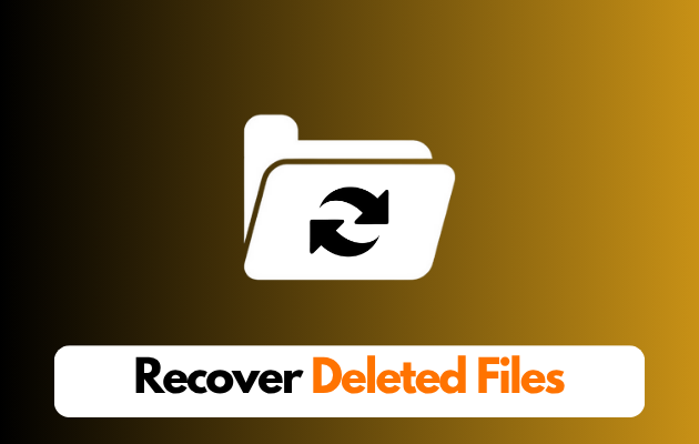 Quick Guide to Recover Deleted Media Files (Photos & Videos)